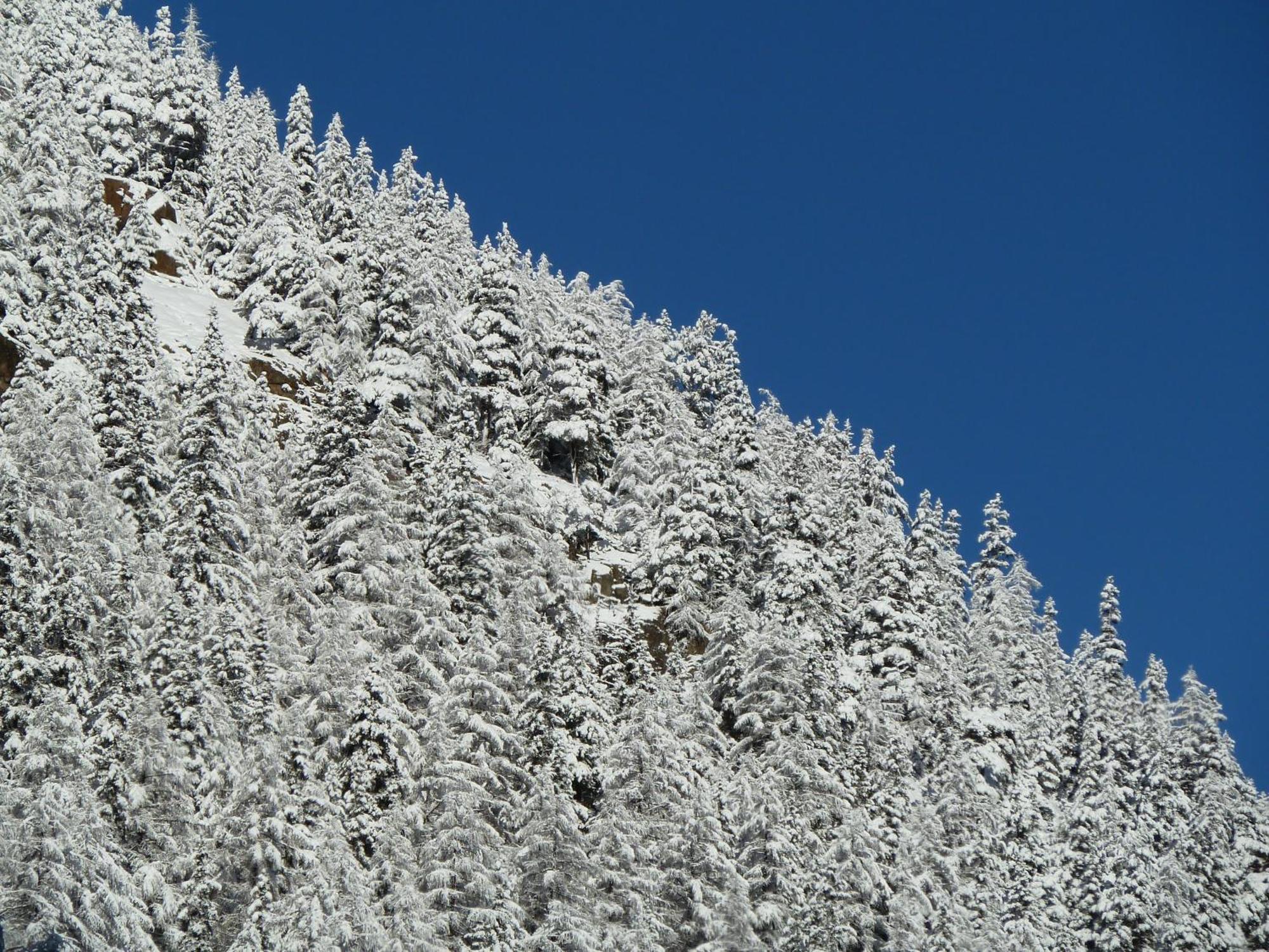 Appartement Gurgl Obergurgl Kültér fotó